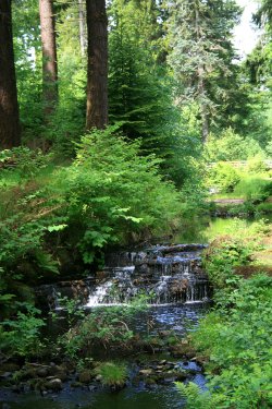 Cragside Estate, nr Rotherbury, Northumberland.