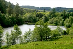 The Lake in Cragside Estate, nr Rotherbury, Northumberland. Wallpaper