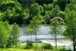 The Lake in Cragside Estate, nr Rotherbury, Northumberland. Wallpaper