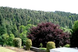 The Cragside Estate, nr Rotherbury, Northumberland.