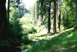 The Cragside Estate, nr Rotherbury, Northumberland. Wallpaper