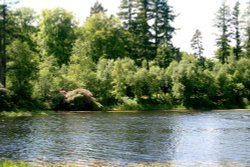 The Lake in Cragside Estate, nr Rotherbury, Northumberland. Wallpaper