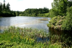 The Lake in Cragside Estate, nr Rotherbury, Northumberland. Wallpaper