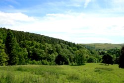 The Cragside Estate, nr Rotherbury, Northumberland. Wallpaper