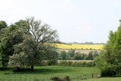 View from St Mary's Church Wallpaper