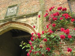 Roses over the main entrance archway at Sissinghurst castle, Kent Wallpaper
