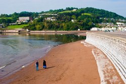 Across The Point to Shaldon Wallpaper