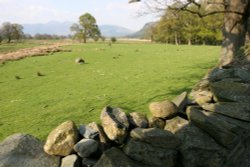 Looking towards Derwentwater Wallpaper