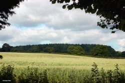 Shillingstone in Dorset Wallpaper