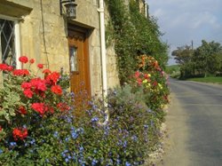 Cottage door, flowers Wallpaper