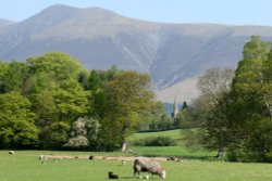 Skiddaw Wallpaper