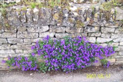 Bourton on the Water