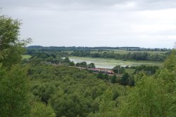 Pooley Fields Wallpaper