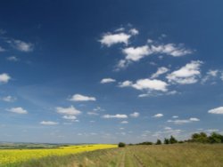 The Ridgeway, near West Ilsley, Berkshire Wallpaper