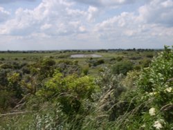 Gibraltar Point Wallpaper