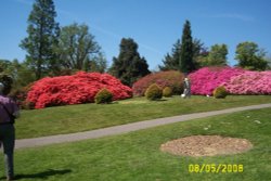 Leonardslee Gardens Wallpaper