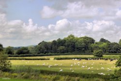 Shillingstone in Dorset Wallpaper