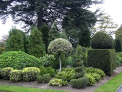 Topiary Wallpaper