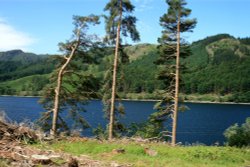 Thirlmere. English Lakes Wallpaper