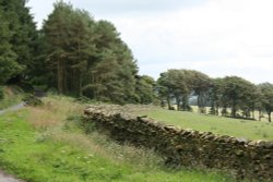 Walk around Beacon Fell