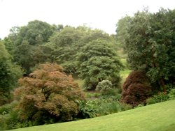 Coleton Fishacre. Wallpaper