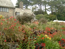 Coleton Fishacre. Wallpaper