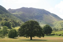 The fields and fells around Glencoyne Bay, Ullswater. English Lakes. Wallpaper