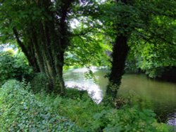 The river at Ashford Wallpaper