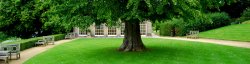 The Orangery Sherborne Castle Wallpaper