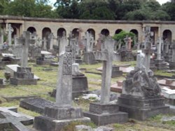 Brompton Cemetery Wallpaper