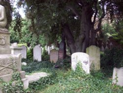 Brompton Cemetery Wallpaper