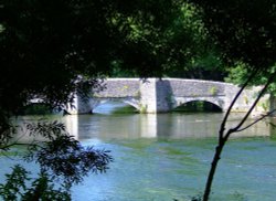 The bridge through the trees Wallpaper