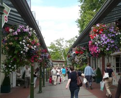 Clark's Village at Street