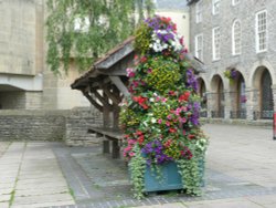 Flowers in the town square