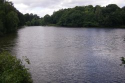 Nostell Priory Wallpaper