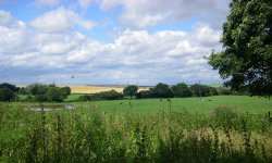 Nostell Priory Wallpaper