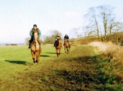 The Gallops