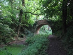 Basingstoke Canal, Up Nately Wallpaper