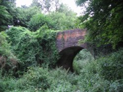 Basingstoke Canal, Up Nately Wallpaper