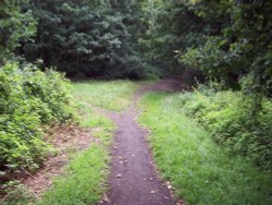 Horsenden Hills