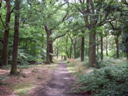 Horsenden Hills