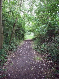 Horsenden Hills