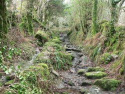 Bridleway Wallpaper