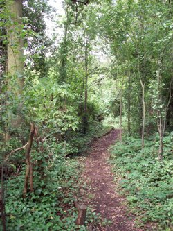 Horsenden Hills