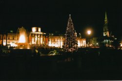 Christmas in Trafalgar Square Wallpaper