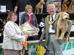 Spennymoor Town Gala 2008