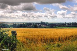 Shillingstone in Dorset Wallpaper