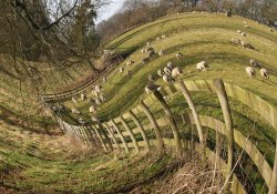 Rolling hills... Glympton, Oxon. Wallpaper