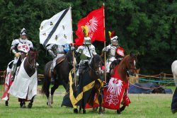 Knights enter the jousting arena Wallpaper