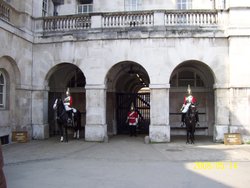 Horseguard London